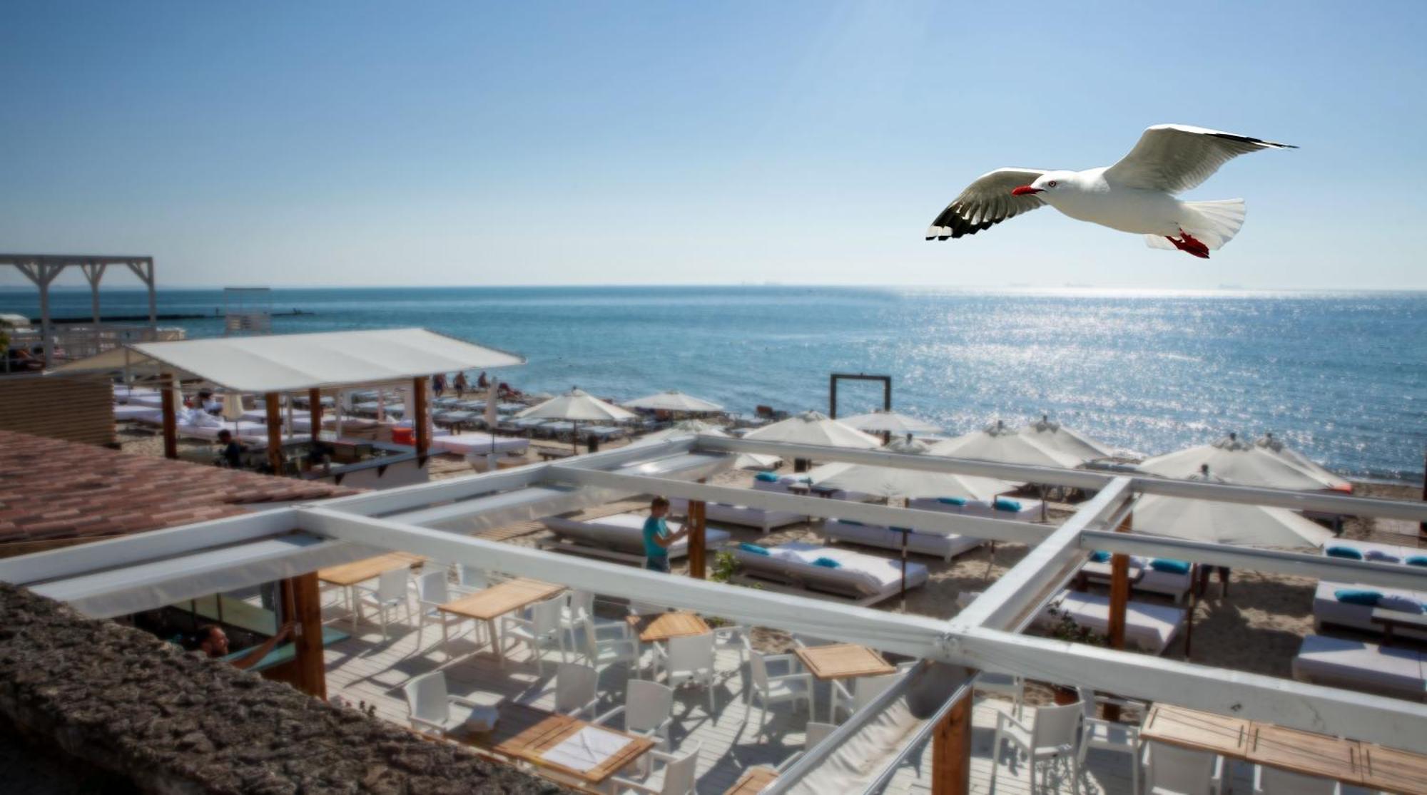 Hotel Otrada Odessa Dış mekan fotoğraf